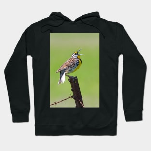 Eastern Meadowlark Hoodie